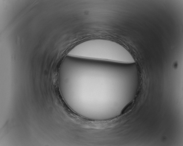 X0000116100033200911230942