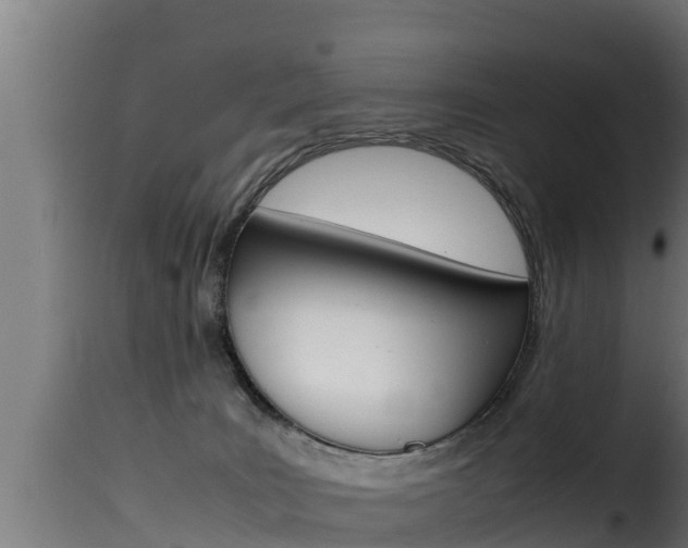X0000116100035200911230942