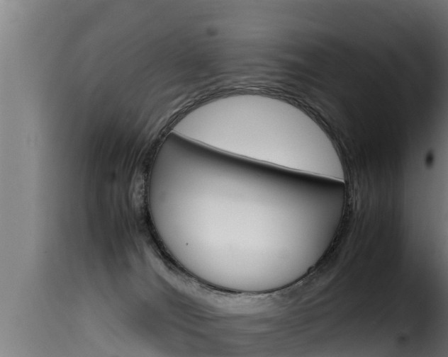 X0000116100036200911230942