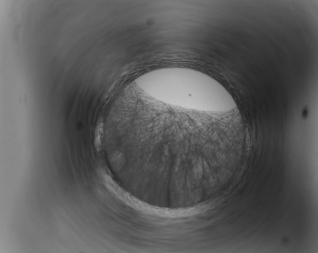 X0000116100038200911230942