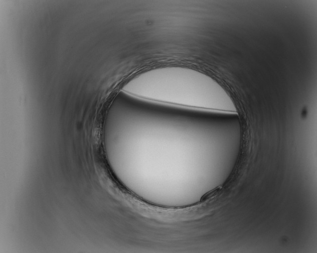 X0000116100039200911230942