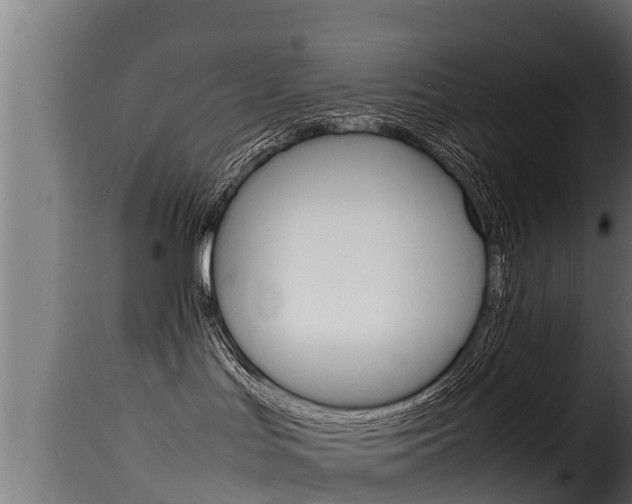X0000116100047200911230942