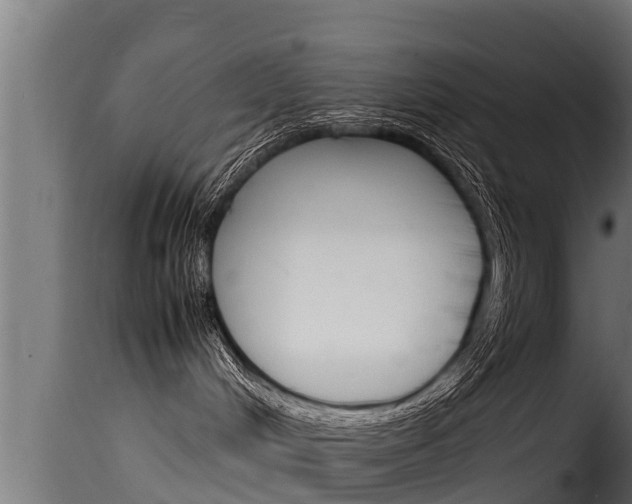 X0000116100048200911230942