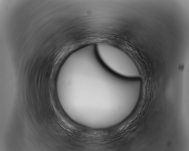 X0000116100049200911230941