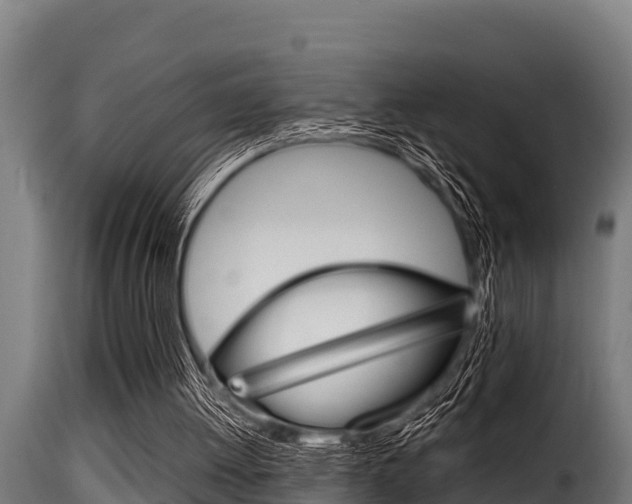 X0000116100052200911230941