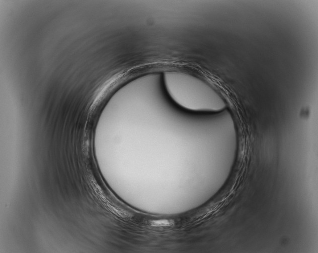 X0000116100053200911230941