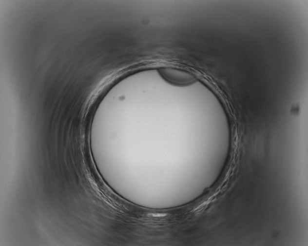 X0000116100055200911230941