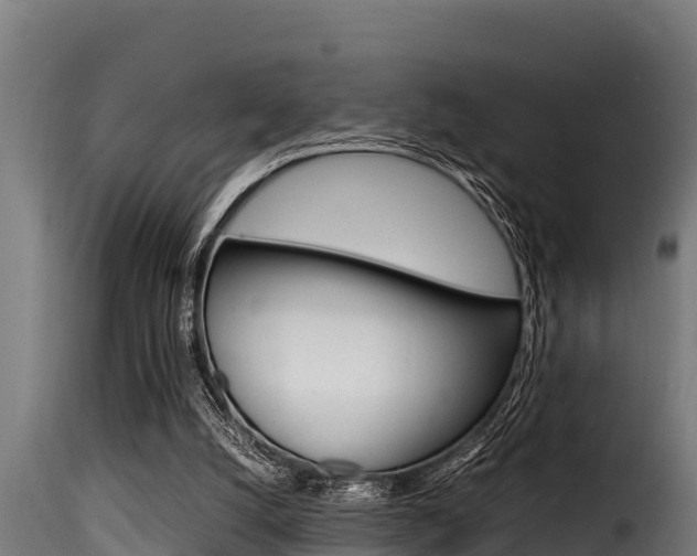 X0000116100056200911230941