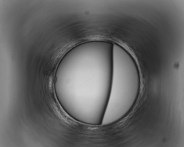 X0000116100057200911230941