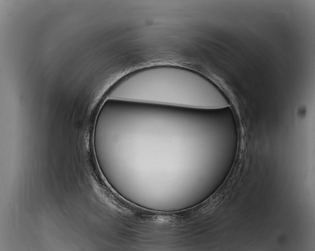 X0000116100060200911230941