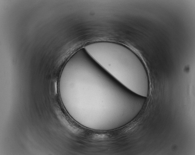 X0000116100061200911230941