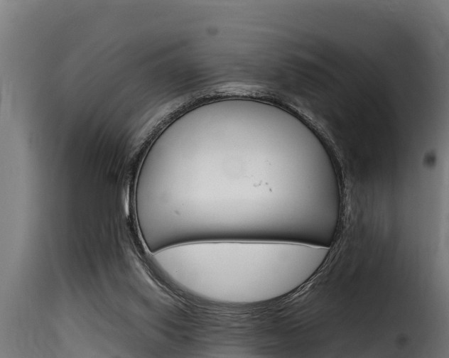 X0000116100062200911230941