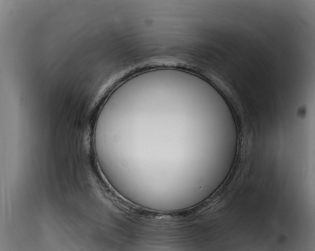 X0000116100064200911230941