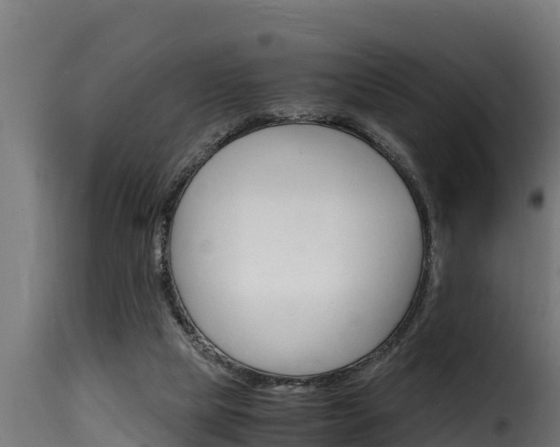 X0000116100065200911230941