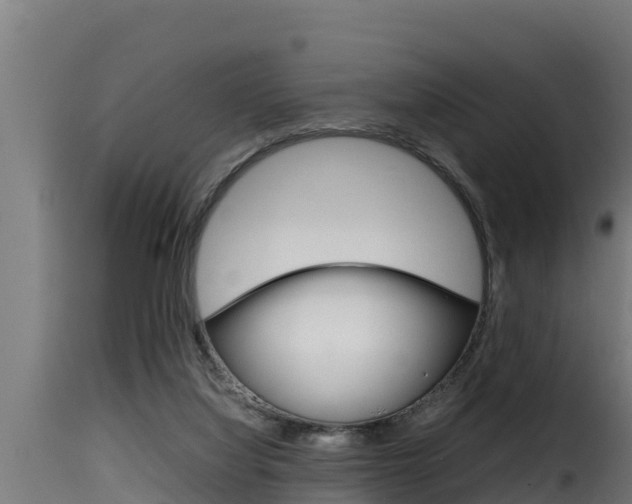 X0000116100068200911230941