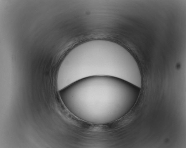 X0000116100072200911230941
