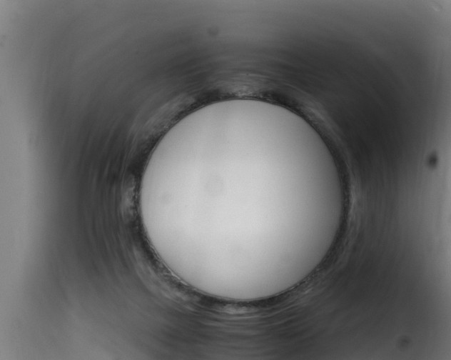 X0000116100073200911230941