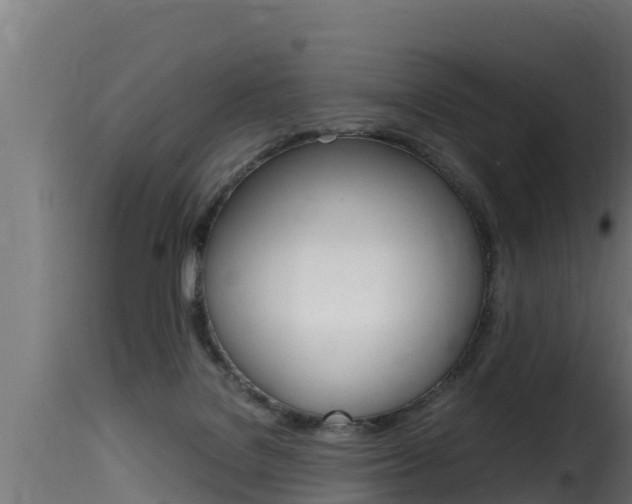 X0000116100076200911230941