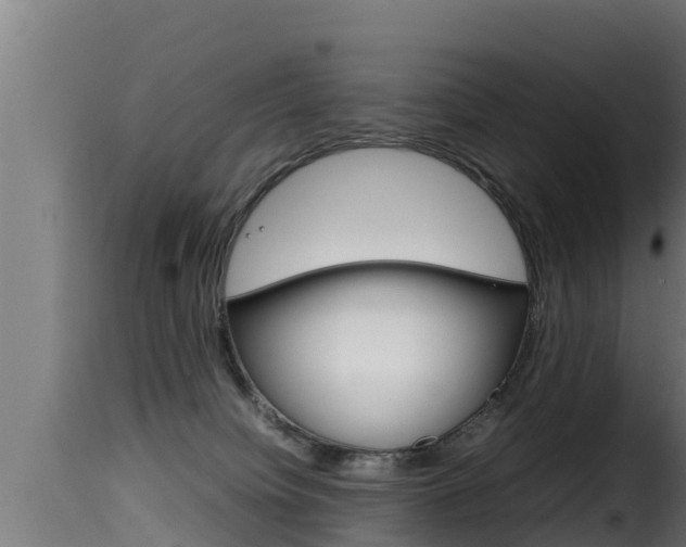 X0000116100084200911230942