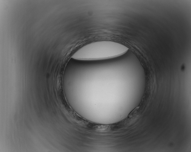 X0000116100088200911230942