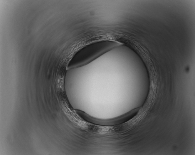 X0000116100096200911230942