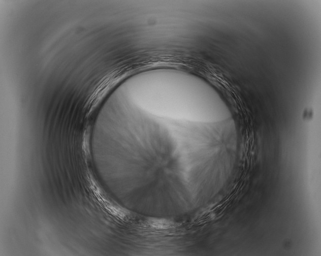X0000116100098200911230941