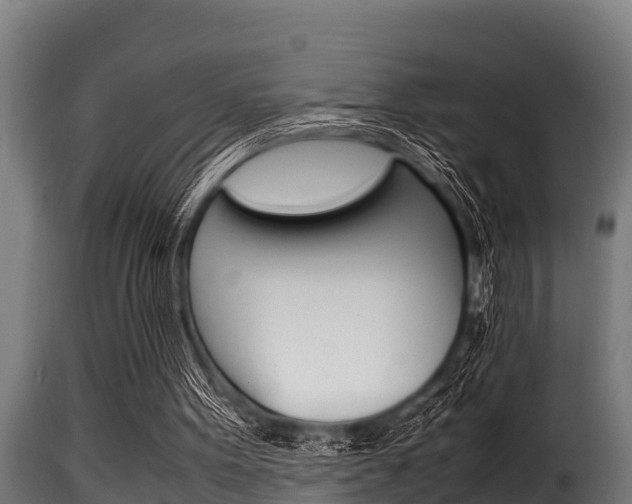 X0000116100099200911230941