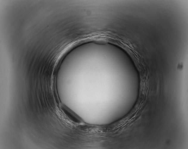 X0000116100100200911230941