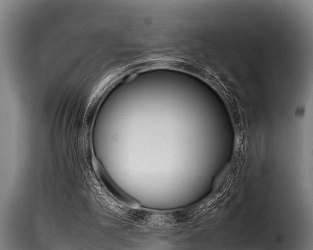 X0000116100101200911230941