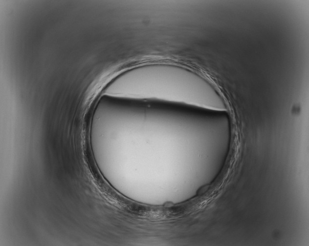 X0000116100103200911230941