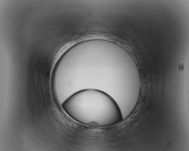 X0000116100104200911230941