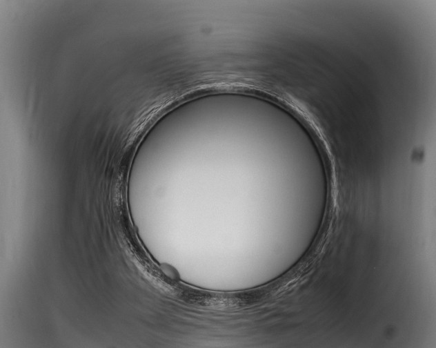 X0000116100105200911230941