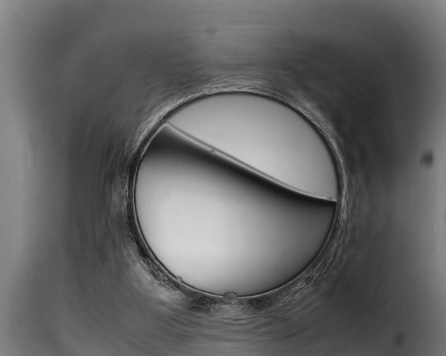 X0000116100107200911230941