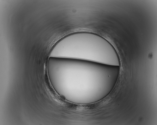 X0000116100109200911230941