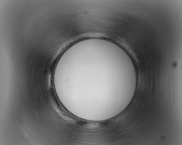 X0000116100110200911230941
