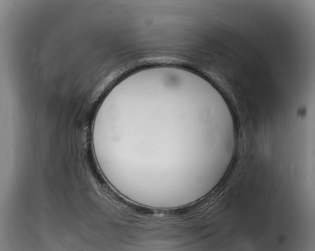 X0000116100111200911230941