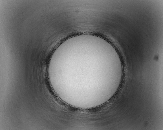 X0000116100113200911230941