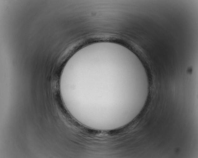 X0000116100119200911230941