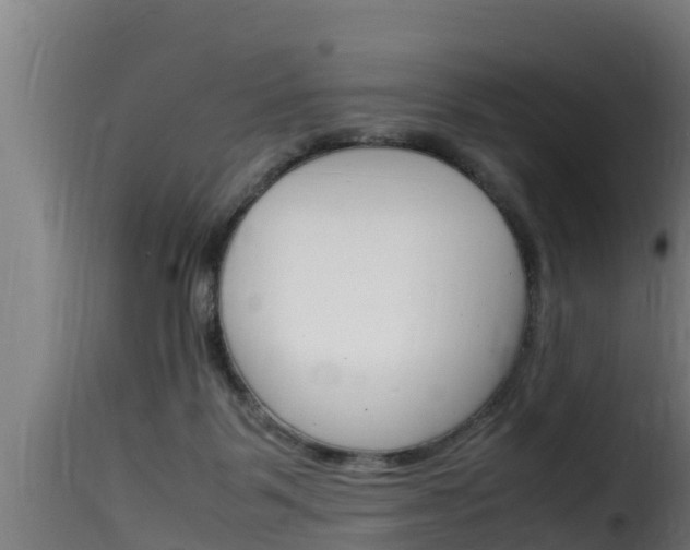 X0000116100123200911230941
