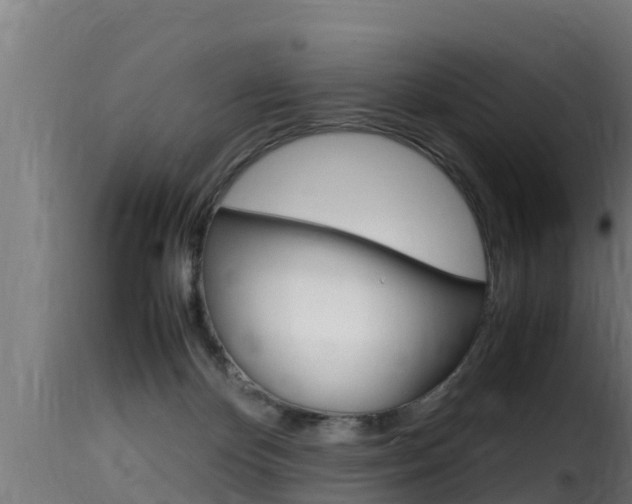 X0000116100124200911230941
