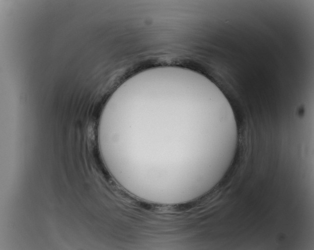 X0000116100127200911230941