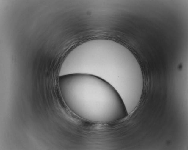 X0000116100128200911230941