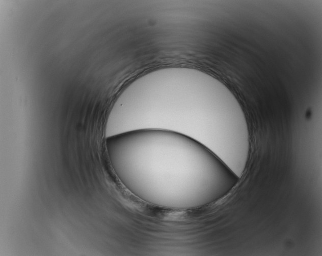 X0000116100132200911230941