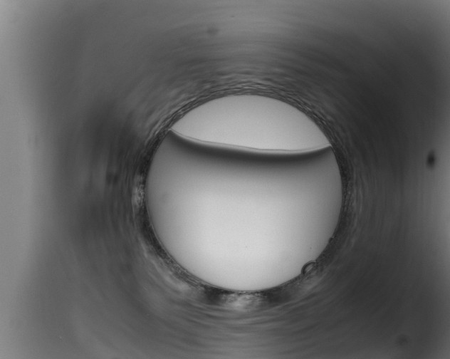 X0000116100135200911230941