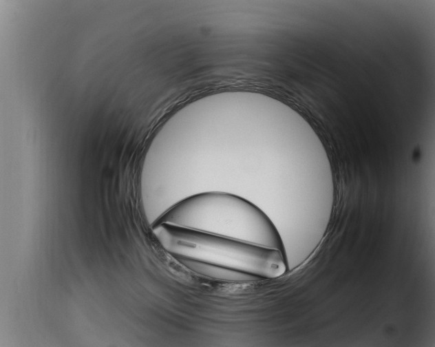 X0000116100136200911230941