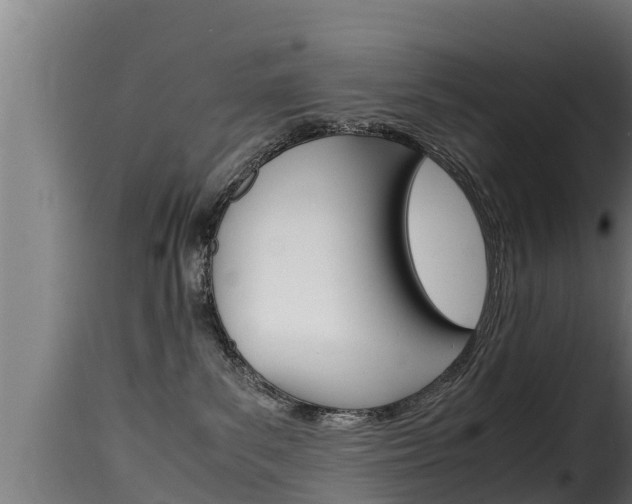 X0000116100139200911230941