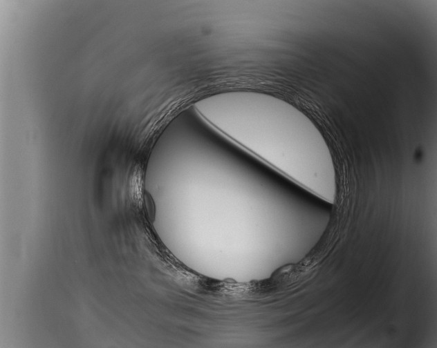 X0000116100143200911230940