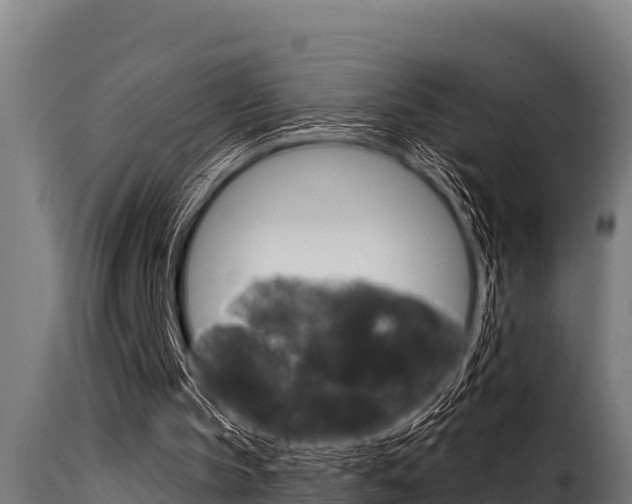 X0000116100145200911230940
