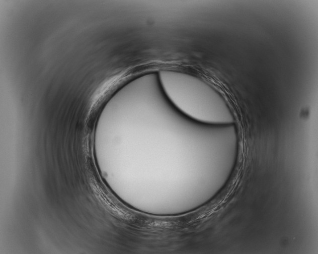 X0000116100149200911230940