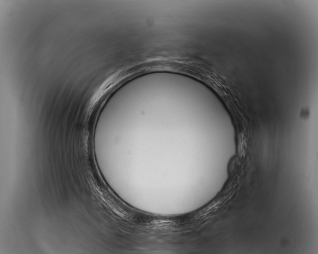 X0000116100150200911230940